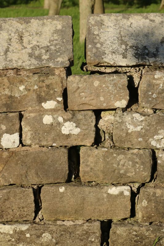 Stone Wall Repair in Princeton, NJ